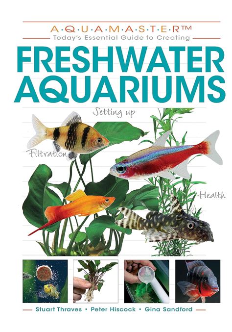 20 Essential Fish Care Tips Every Aquarist Should Know.